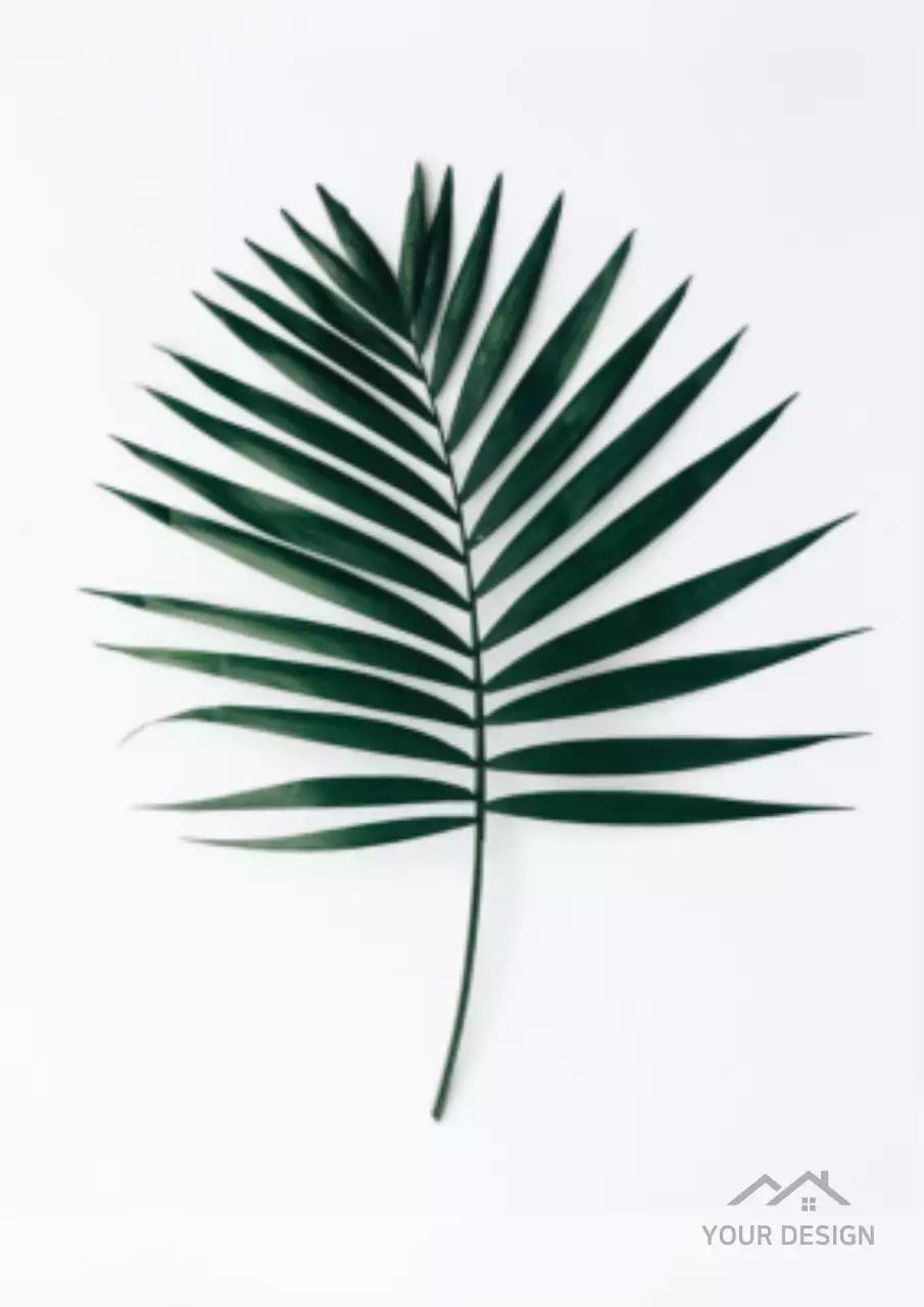 Green Minimal Botanical Card Poster
