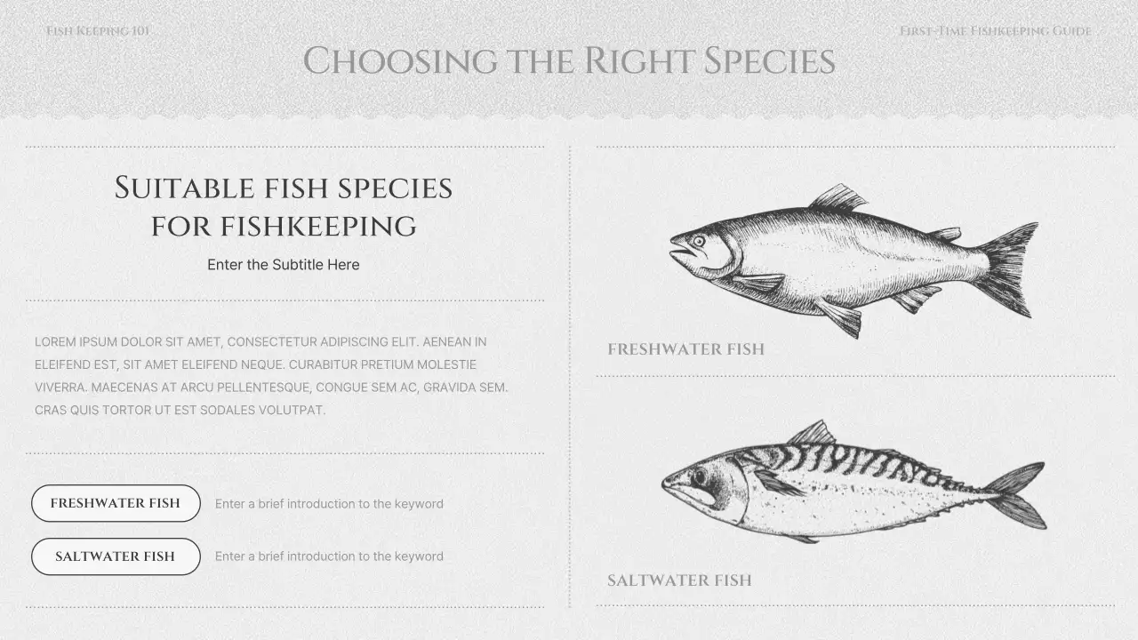 검정색과 회색의 물고기 기르기 교육