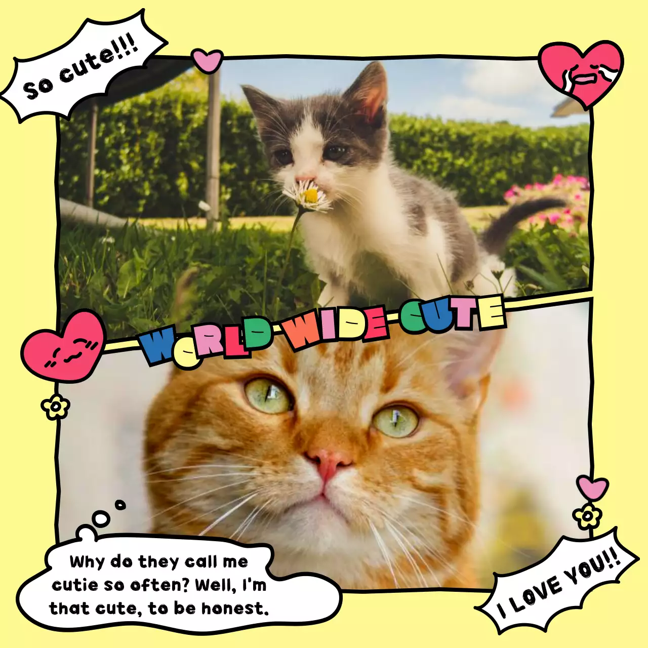 A cute cartoonish cat geek template with colorful primary colors