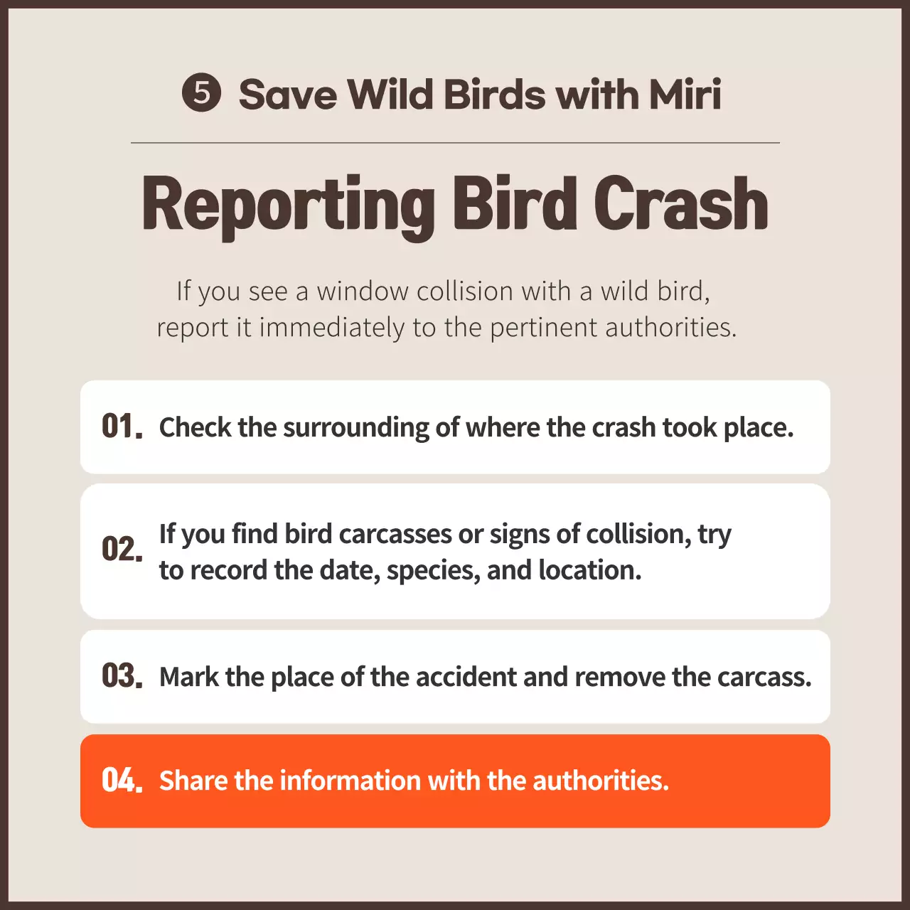 A clean anti-bird collision campaign with orange color scheme