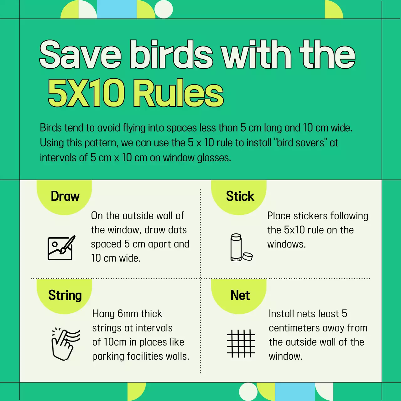 Green and geometric wild bird window collision prevention information provided (Card News)