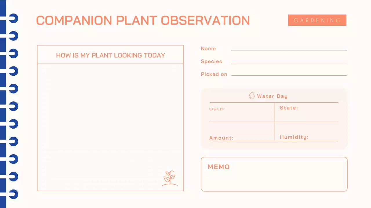 Orange and Blue Diary My Hobby Diary