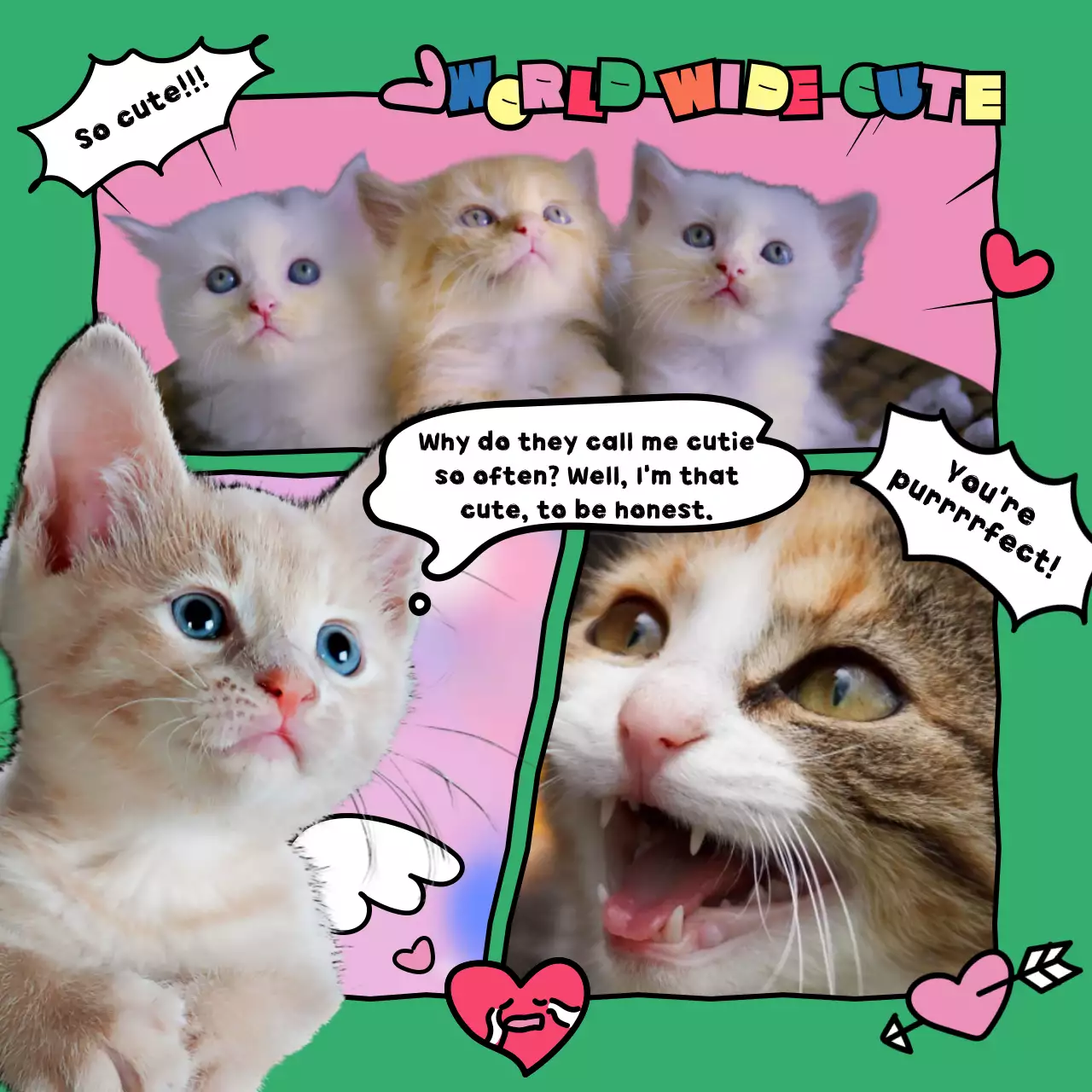 A cute cartoonish cat geek template with colorful primary colors