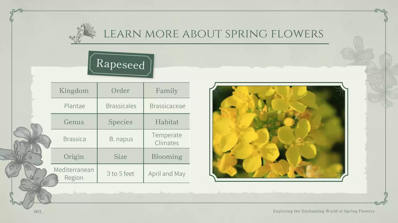 Tema musim semi bunga dengan latar belakang mint