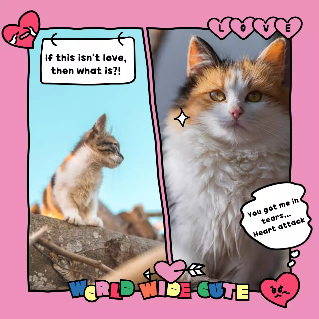 A cute cartoonish cat geek template with colorful primary colors