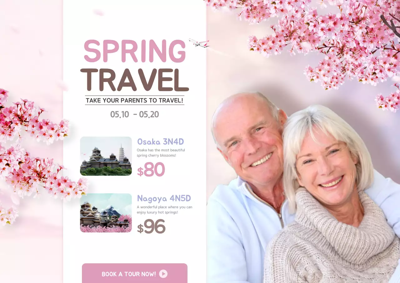 Pink Modern Travel Promotion Poster