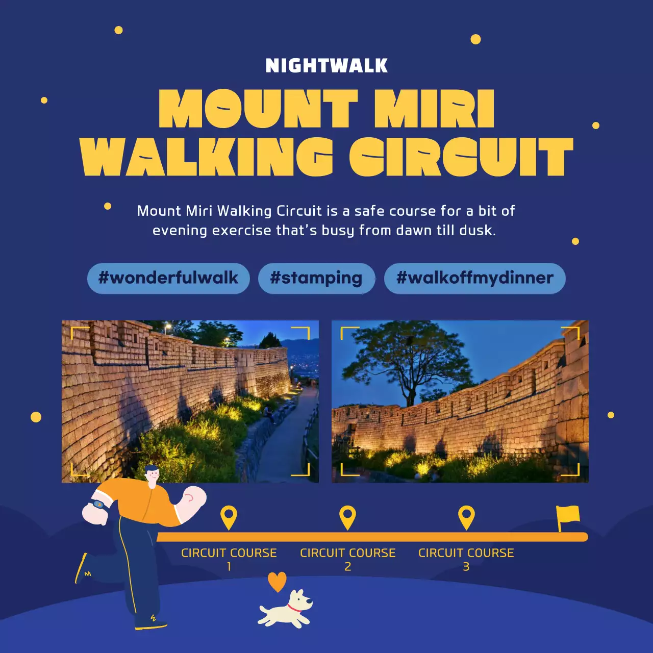 Introducing the Navy and Yellow Night Stroll attraction