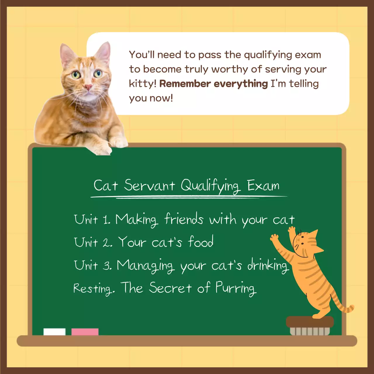 Pink Trendy Cat Guide Instagram Carousel