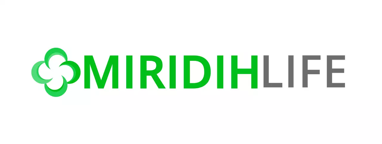 Insurance company logo with green simple symbol logo