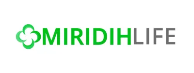 Insurance company logo with green simple symbol logo