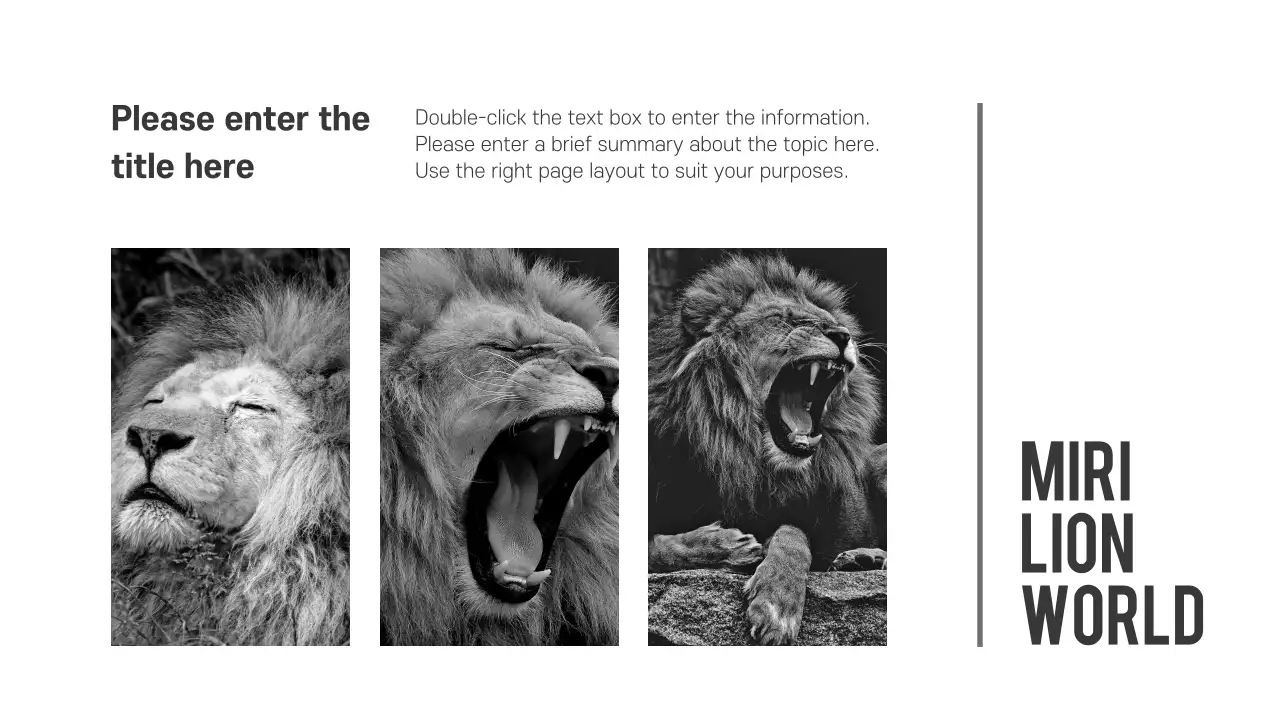 Grey Modern Project Announcement Presentation