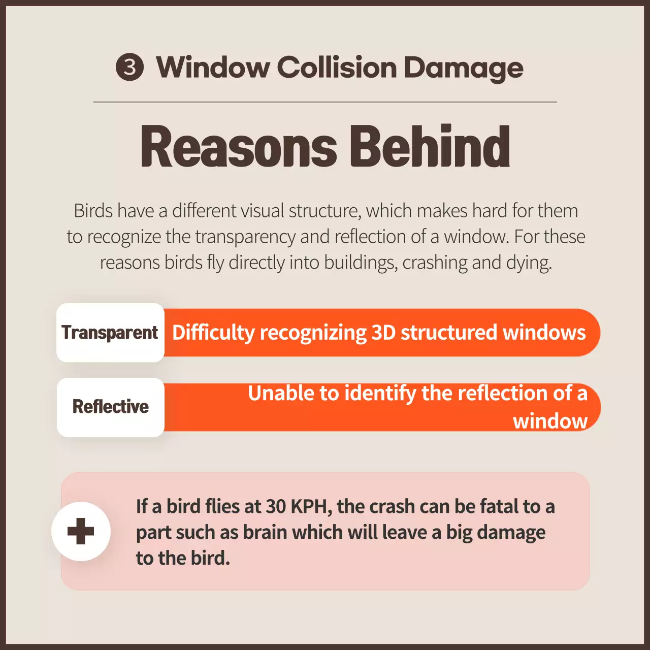 A clean anti-bird collision campaign with orange color scheme