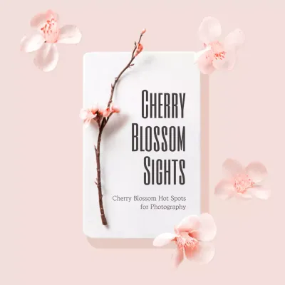 Pink Elegant Photography Guide Instagram Post