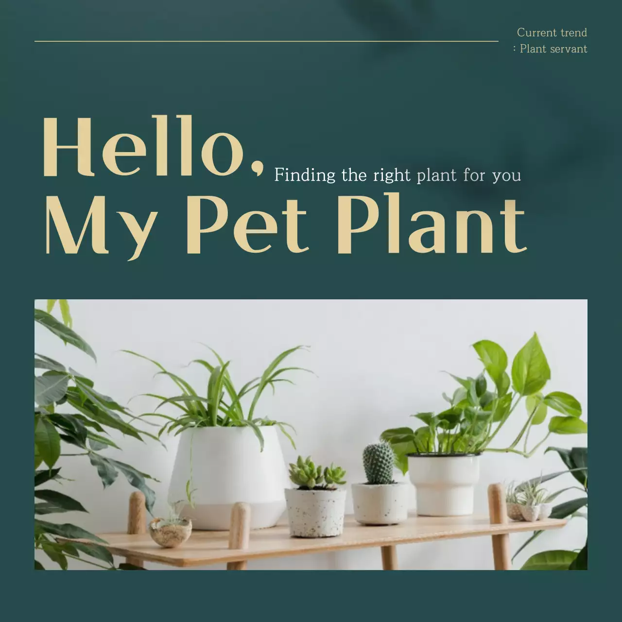 Green and Gold trending pet plant recommendations explained