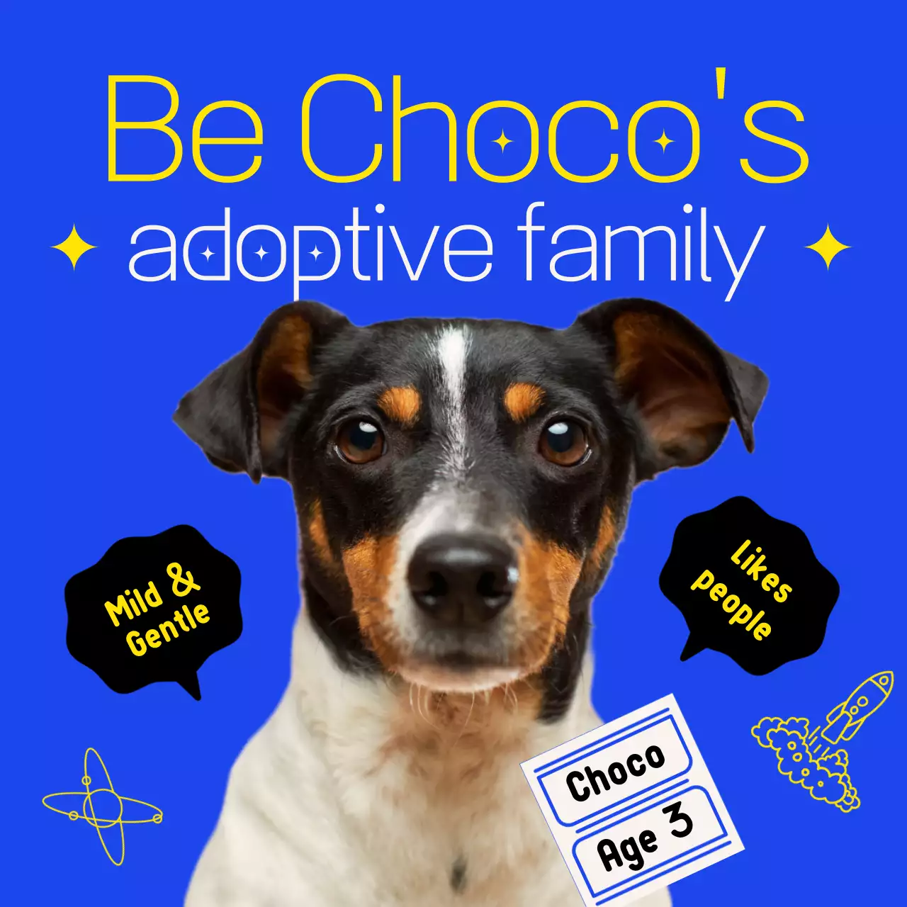 블루 모던 도그 입양 광고 소셜 미디어 게시물