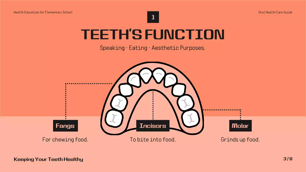 Coral Simple Dental Guide 프레젠테이션