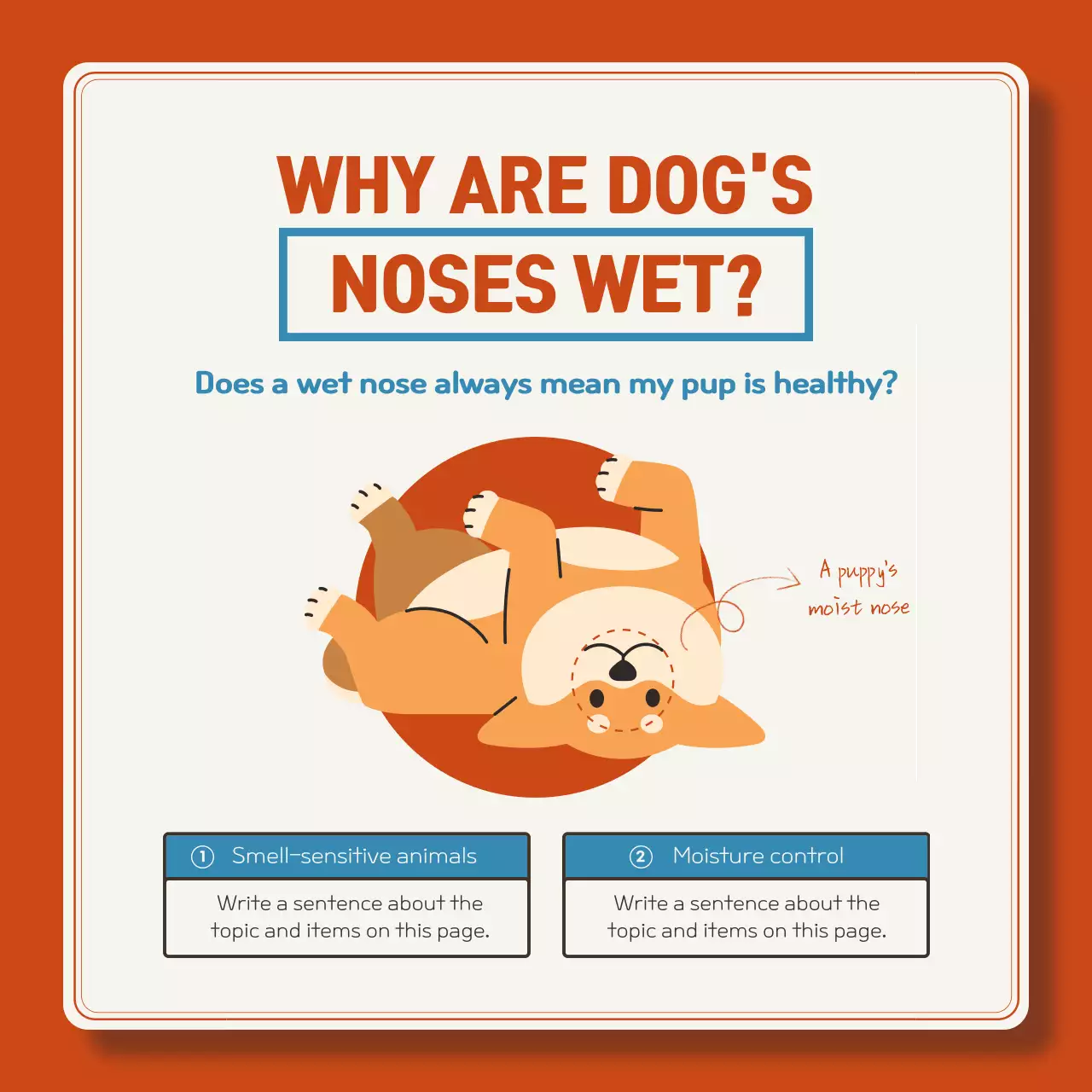 Orange Modern Puppy Guide Instagram Carousel