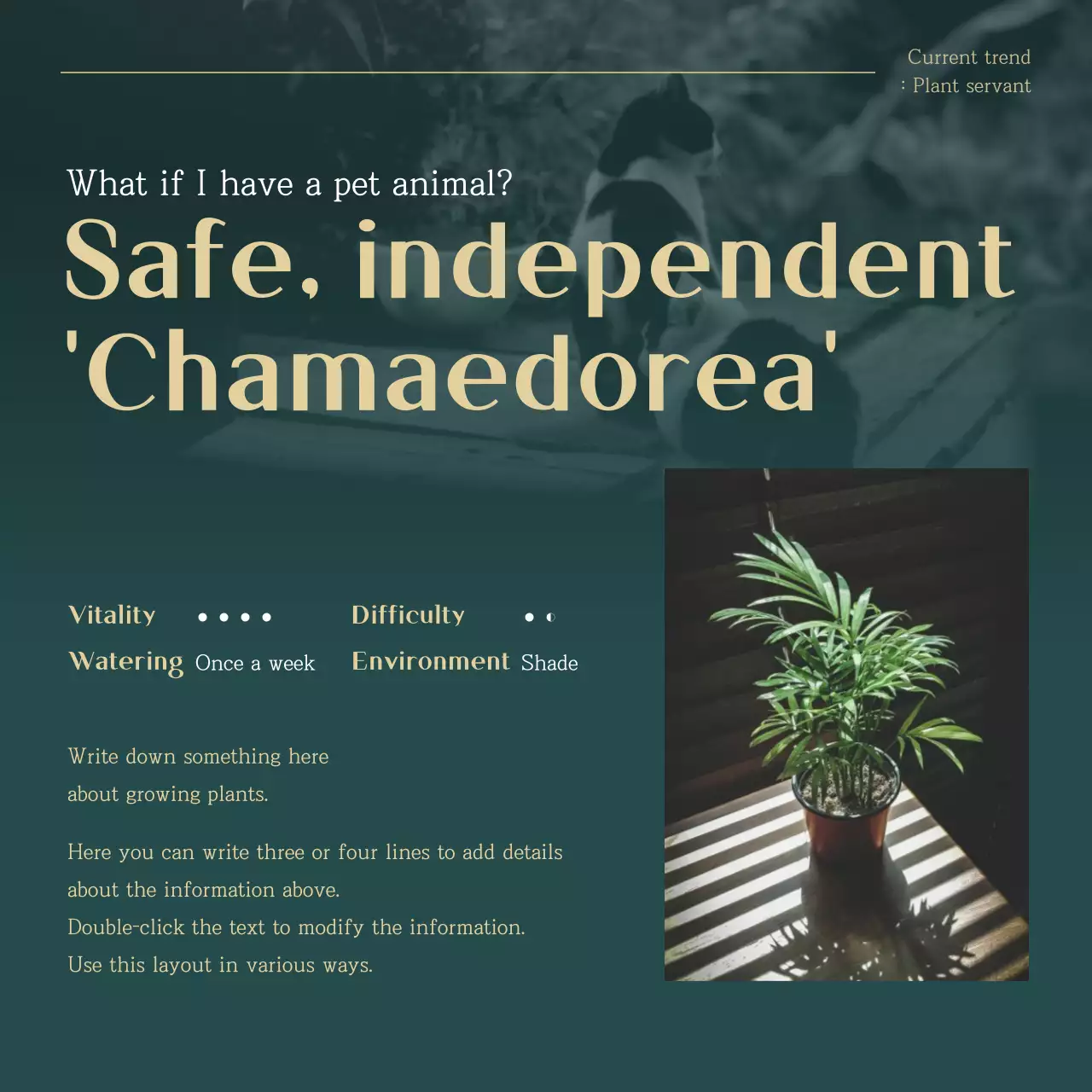 Green and Gold trending pet plant recommendations explained