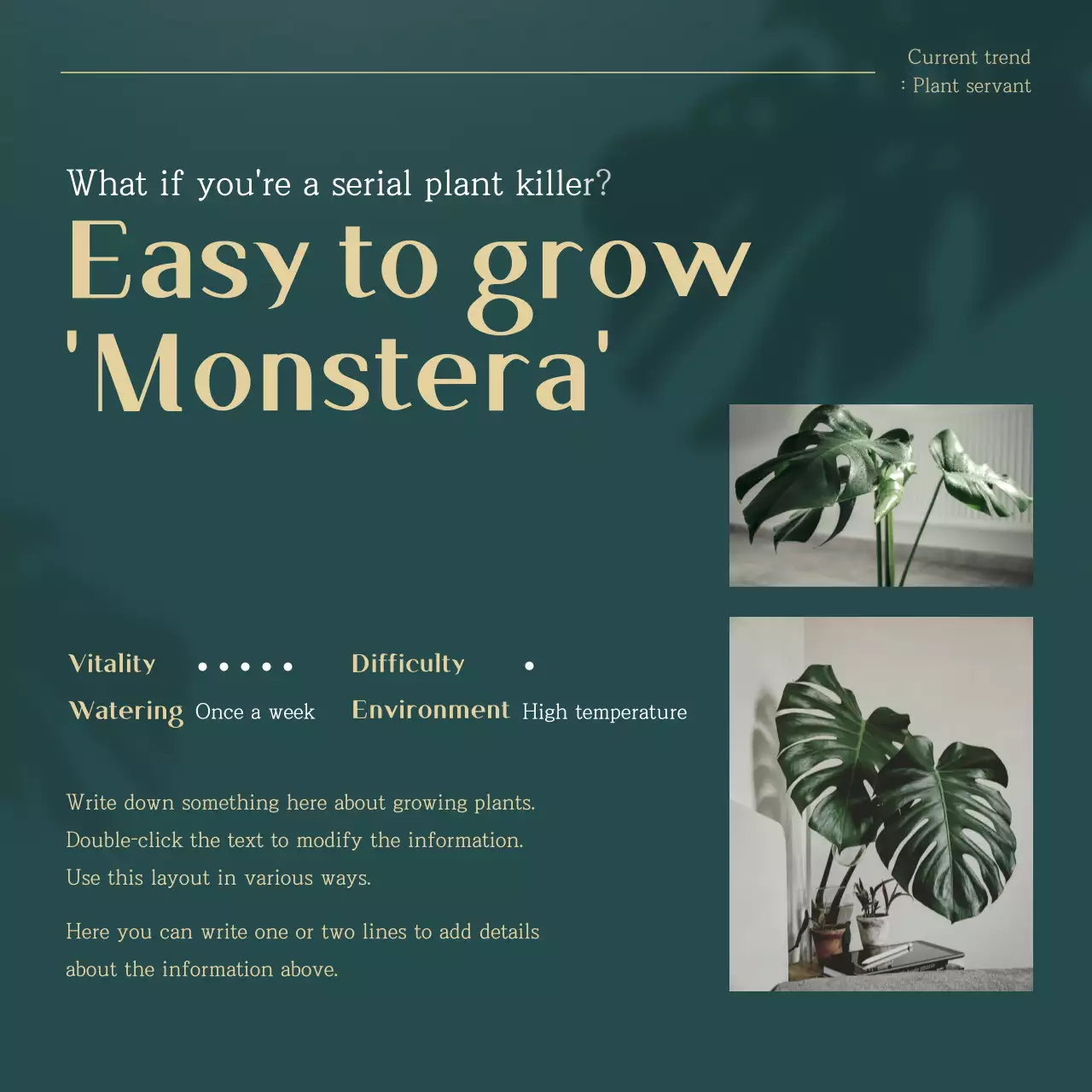 Green and Gold trending pet plant recommendations explained