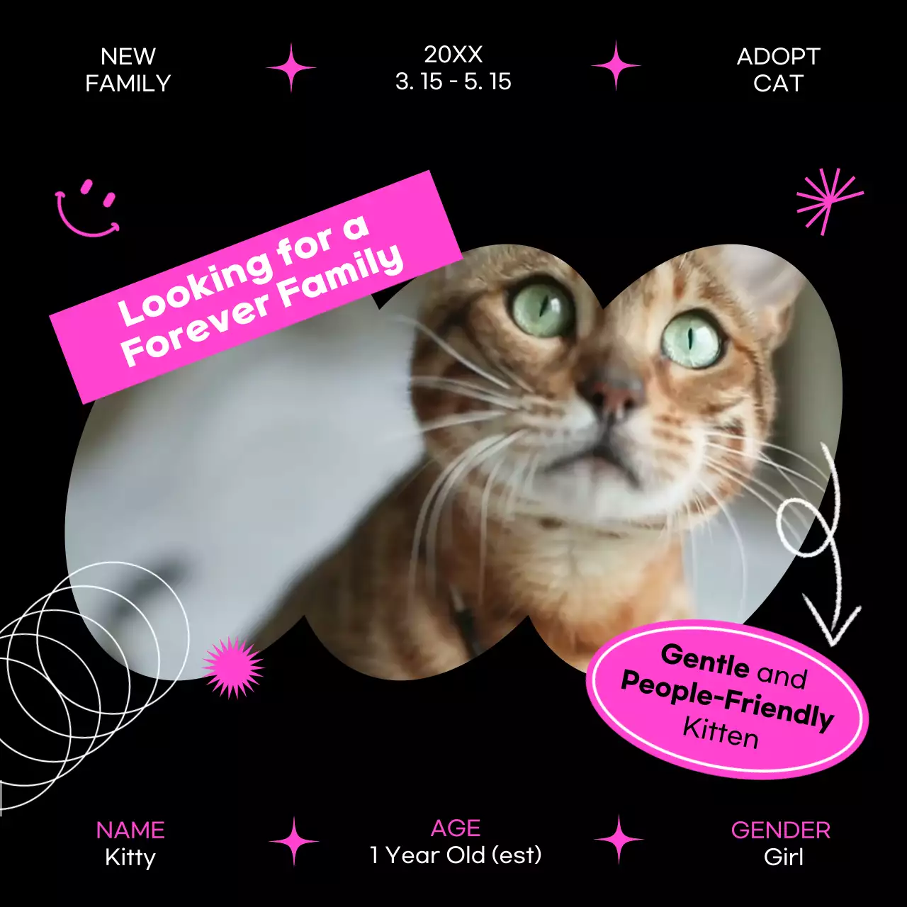 분홍색과 검정색 테마의 귀여운 고양이 분양 안내