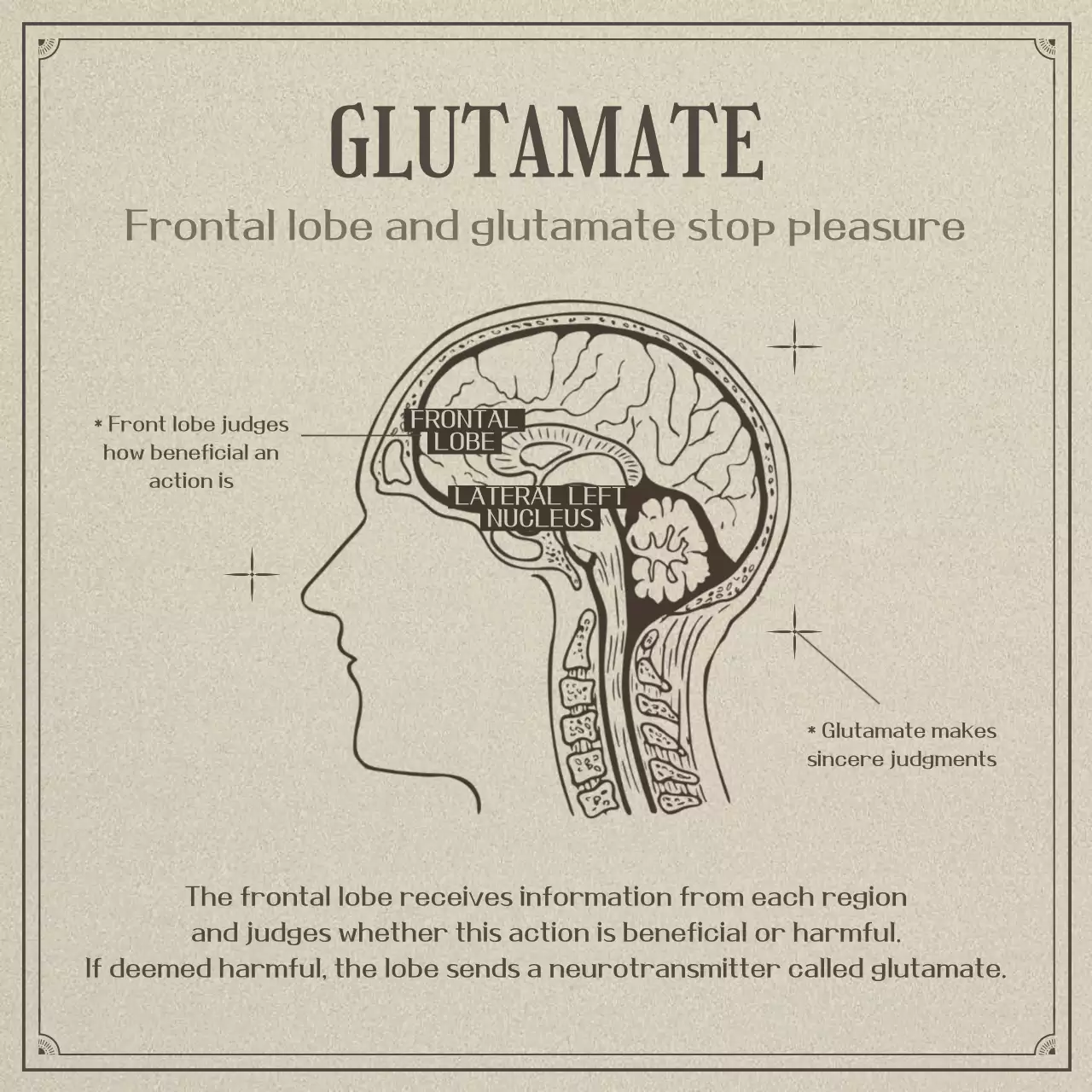 Neuroscience and laziness in a beige, realistic illustration concept