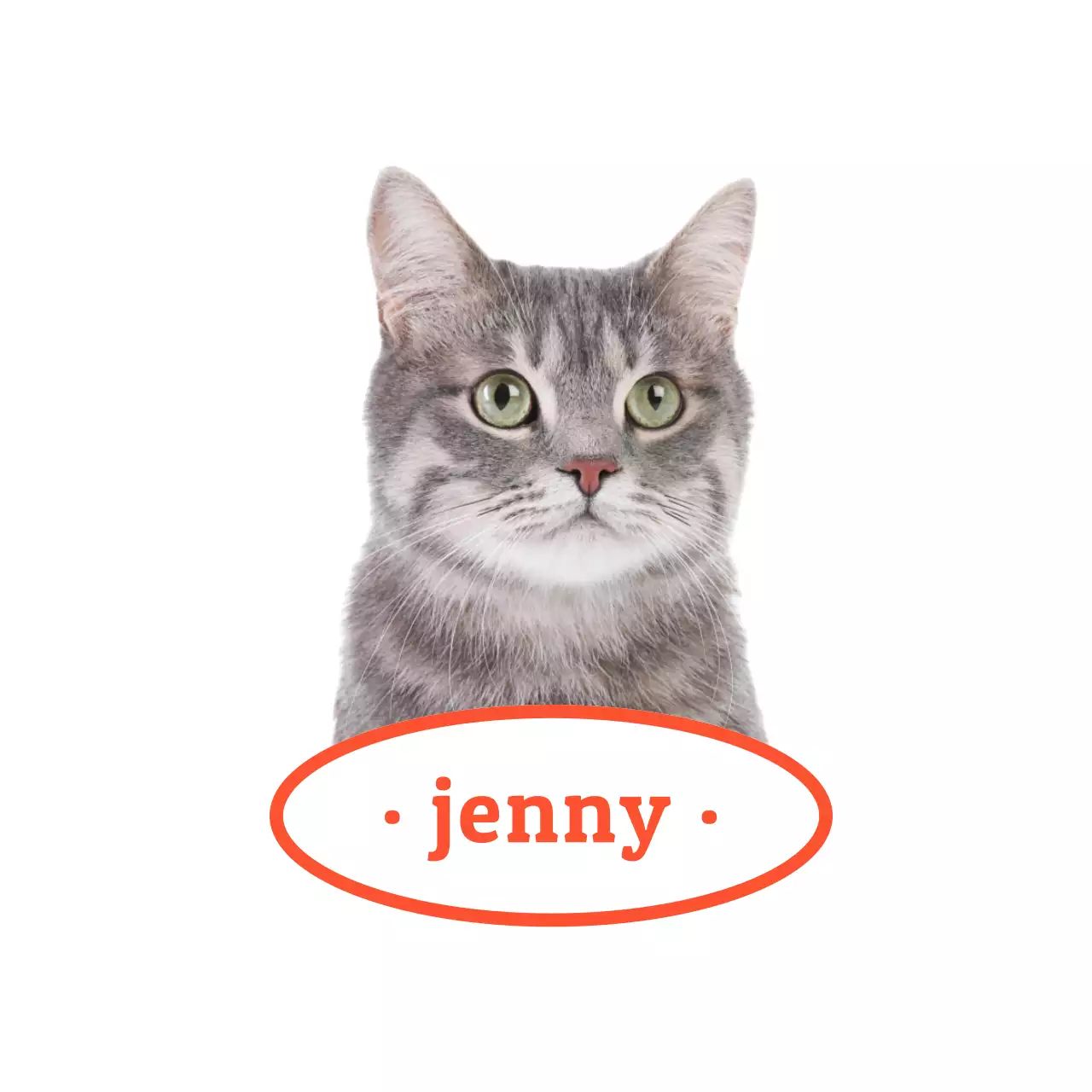 Thẻ tên có hình ảnh thực tế của chó mèo dễ thương màu đỏ và vàng