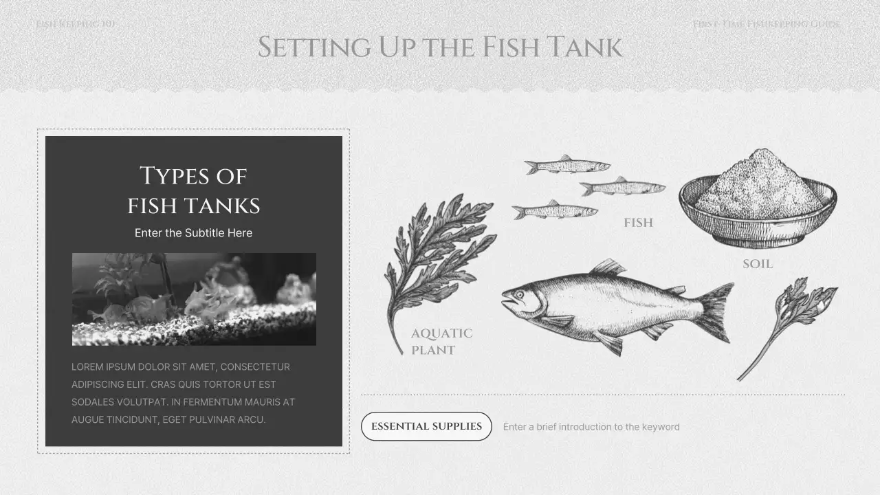 검정색과 회색의 물고기 기르기 교육