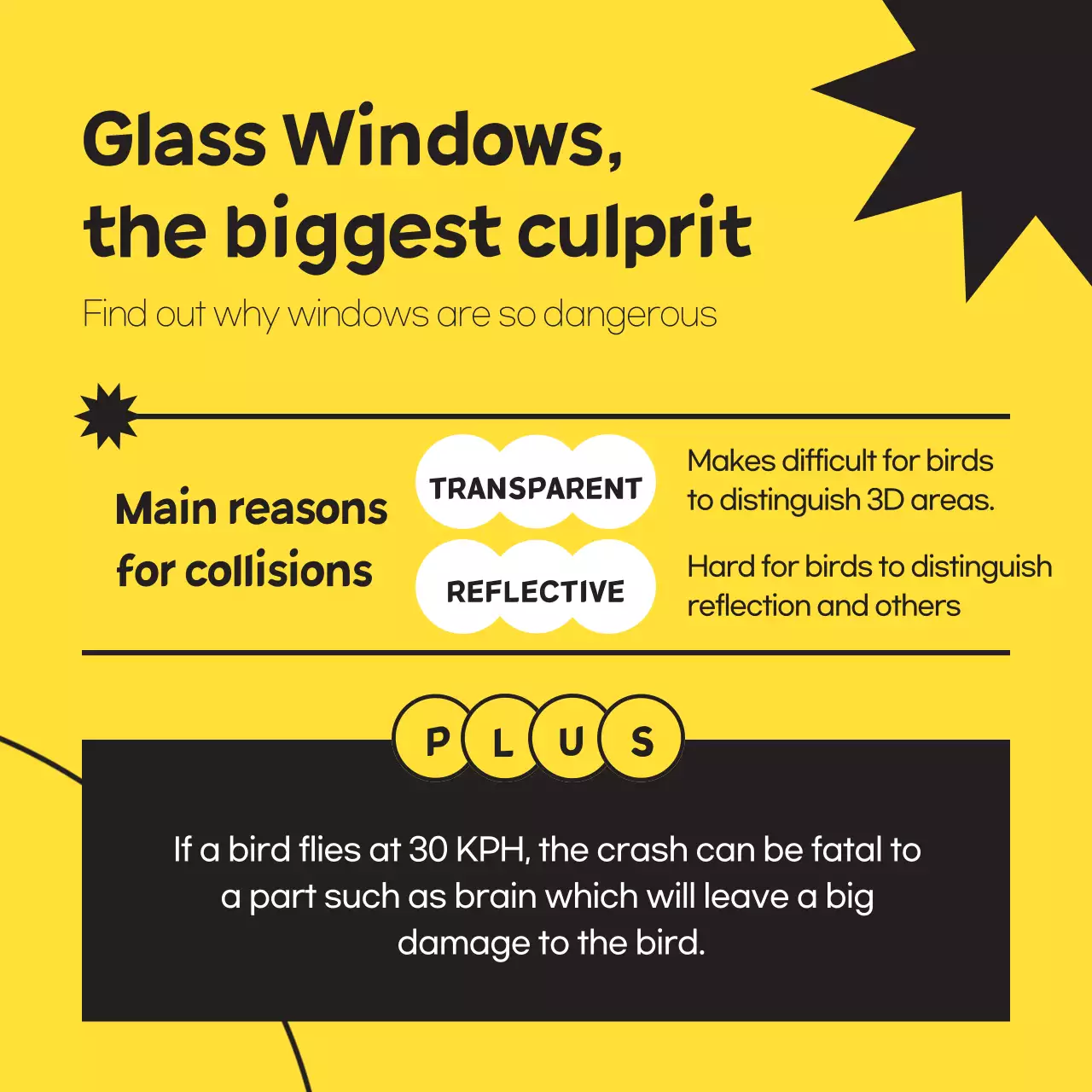 Get a simple wild bird in black and yellow