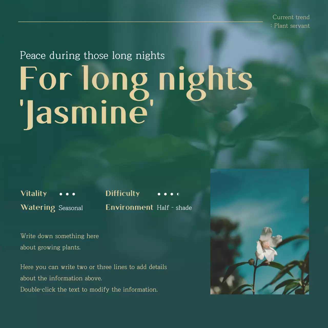 Green and Gold trending pet plant recommendations explained