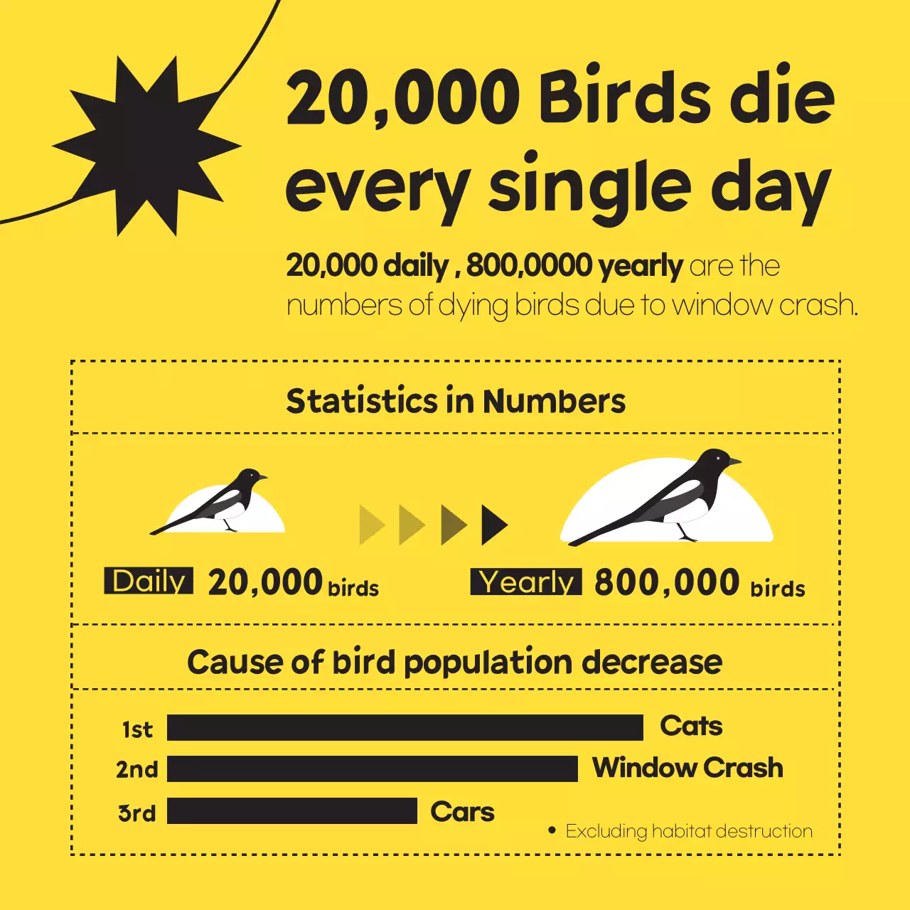 Get a simple wild bird in black and yellow