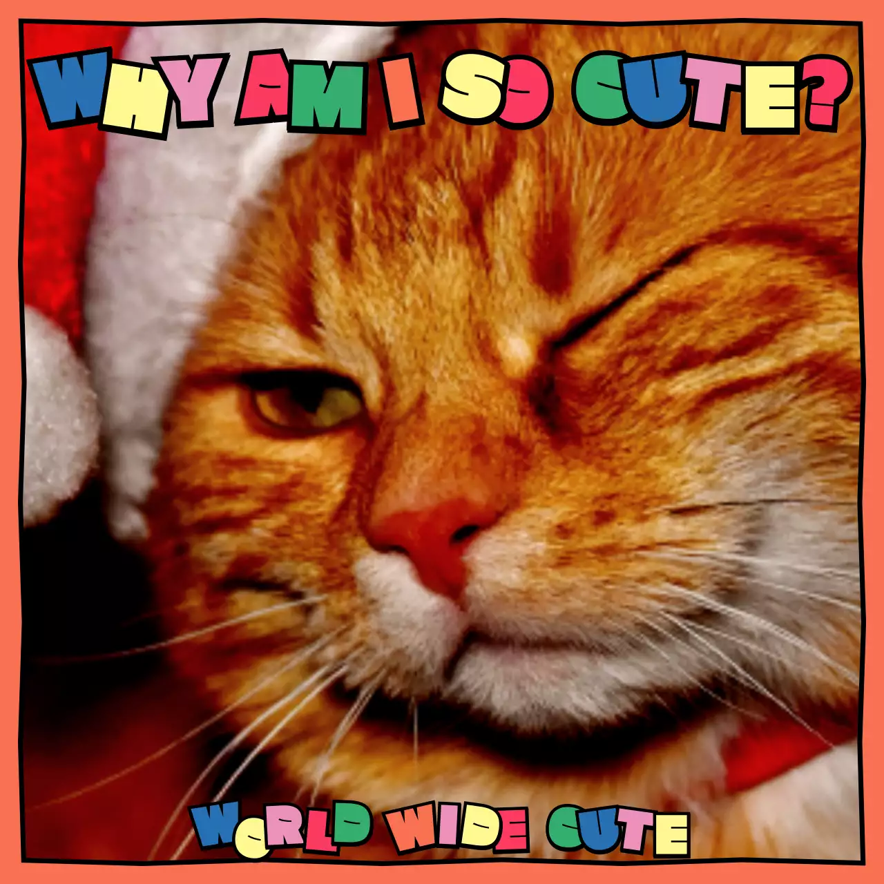 A cute cartoonish cat geek template with colorful primary colors