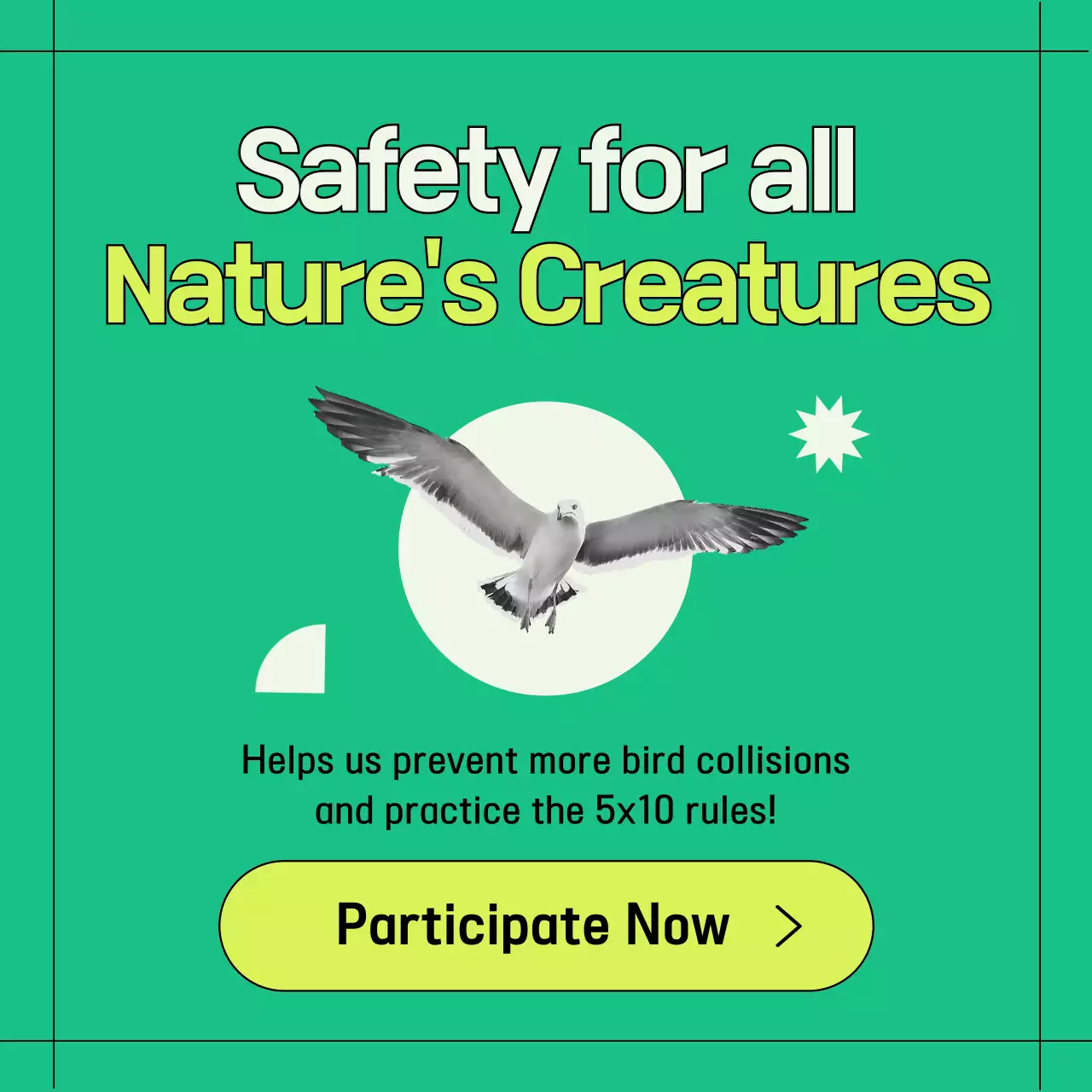 Green and geometric wild bird window collision prevention information provided (Card News)