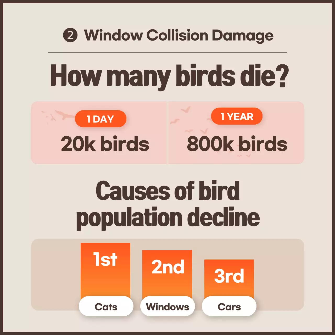A clean anti-bird collision campaign with orange color scheme