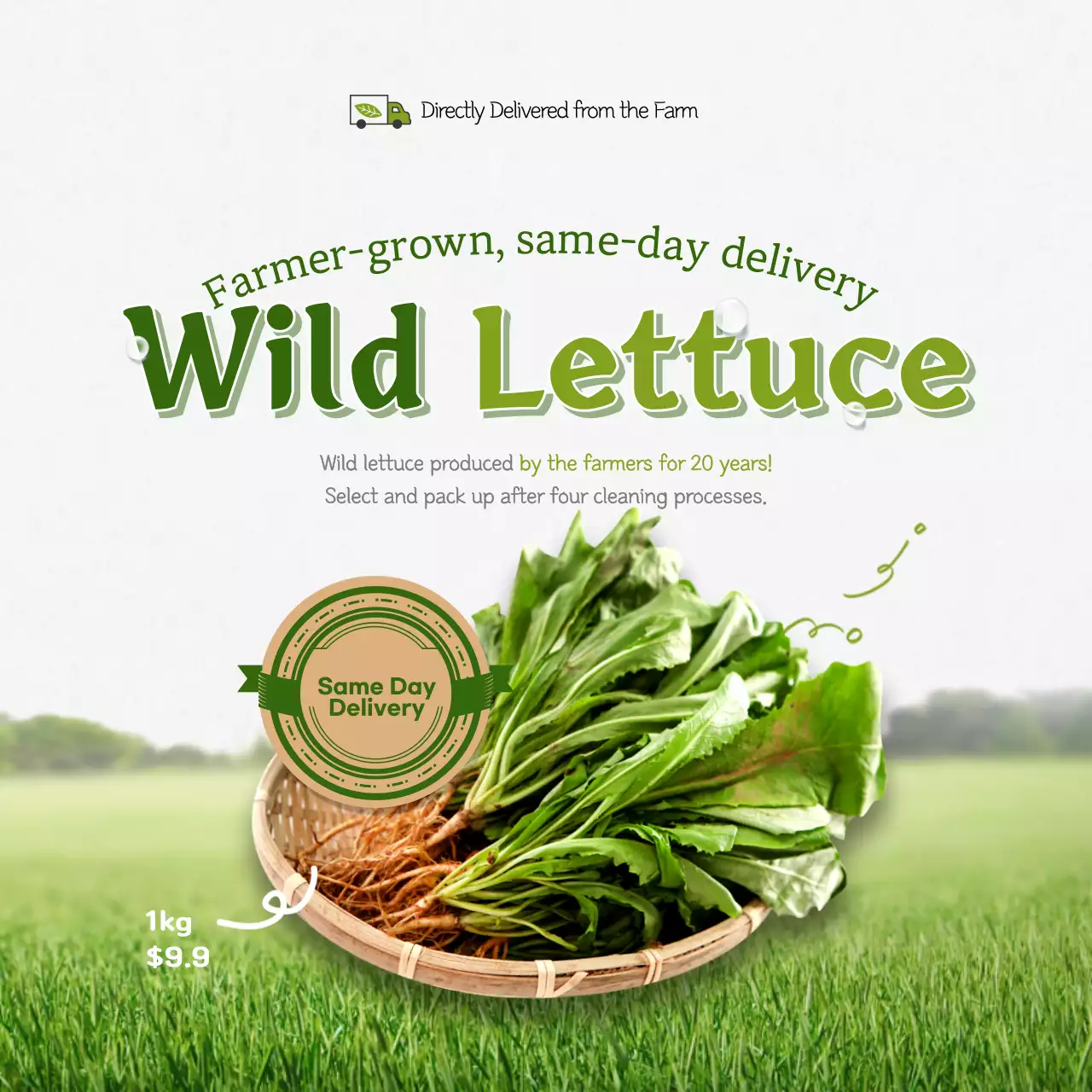Green Rustic Lettuce Promotion Social Media Post