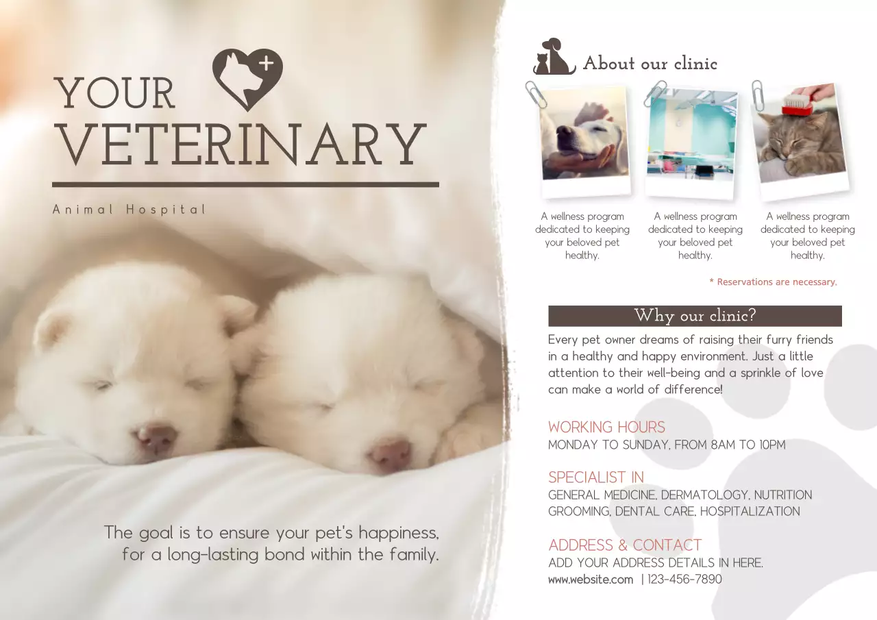 Beige Simple Veterinary Promotion Poster