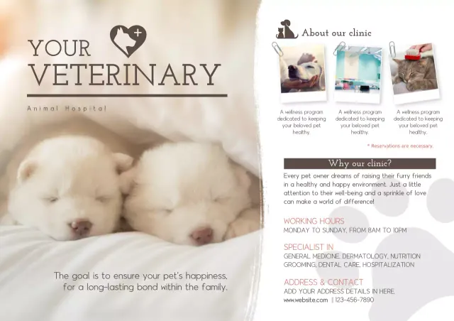 Beige Simple Veterinary Promotion Poster