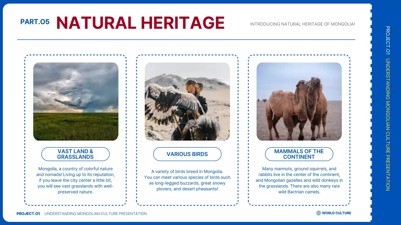 블루 프로페셔널 문화 프레젠테이션