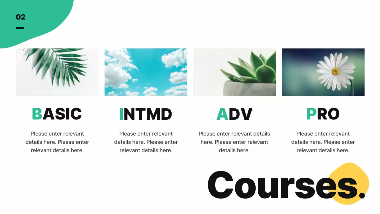 A cute abstract illustration with vivid colors to introduce the school's business profile and curriculum