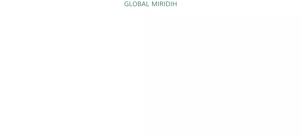 Simple Global Miridi in dark green color for company promotion