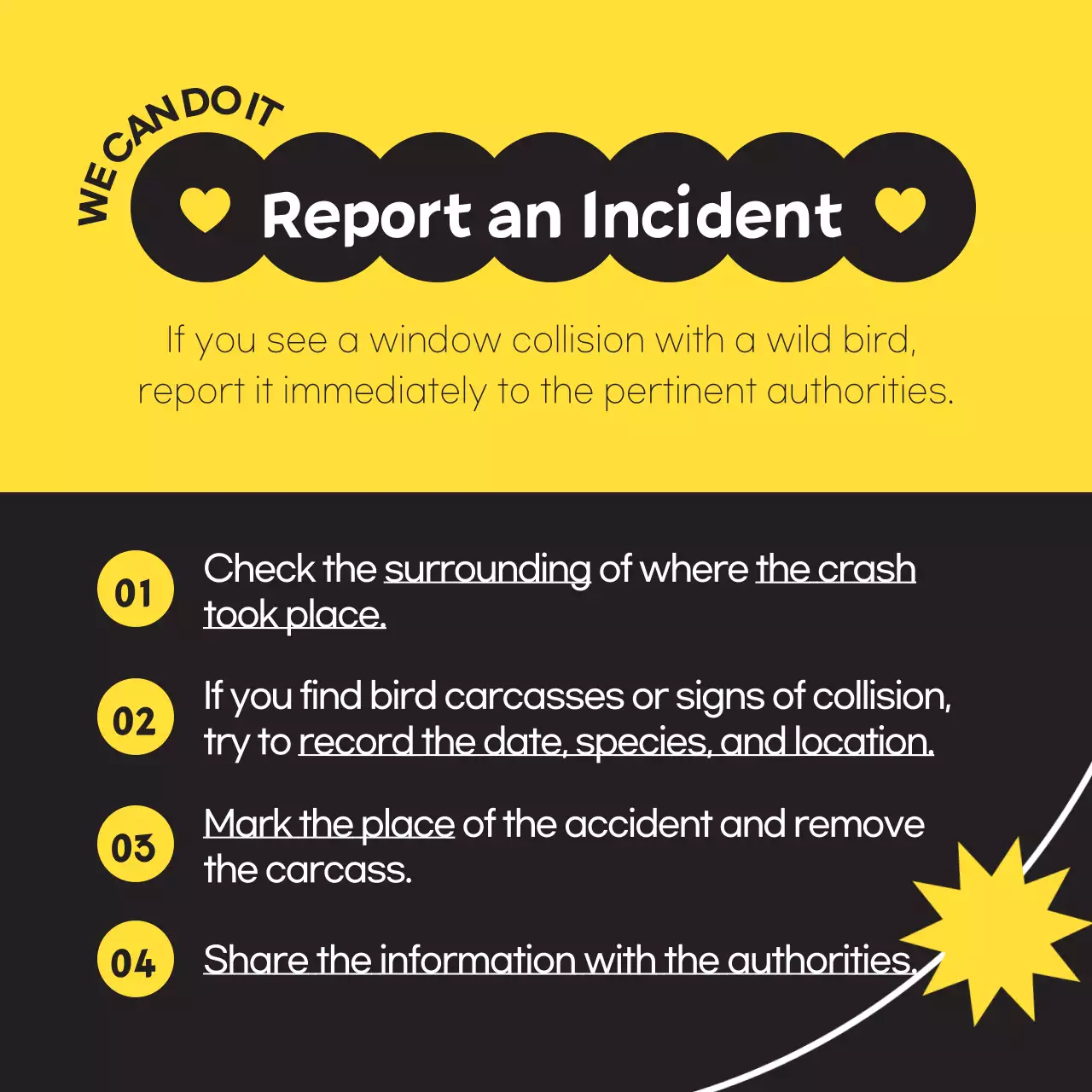 Get a simple wild bird in black and yellow