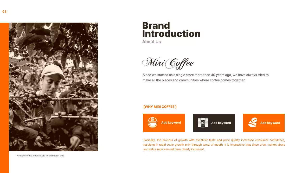 Orange Professional Marketing Guide Presentation