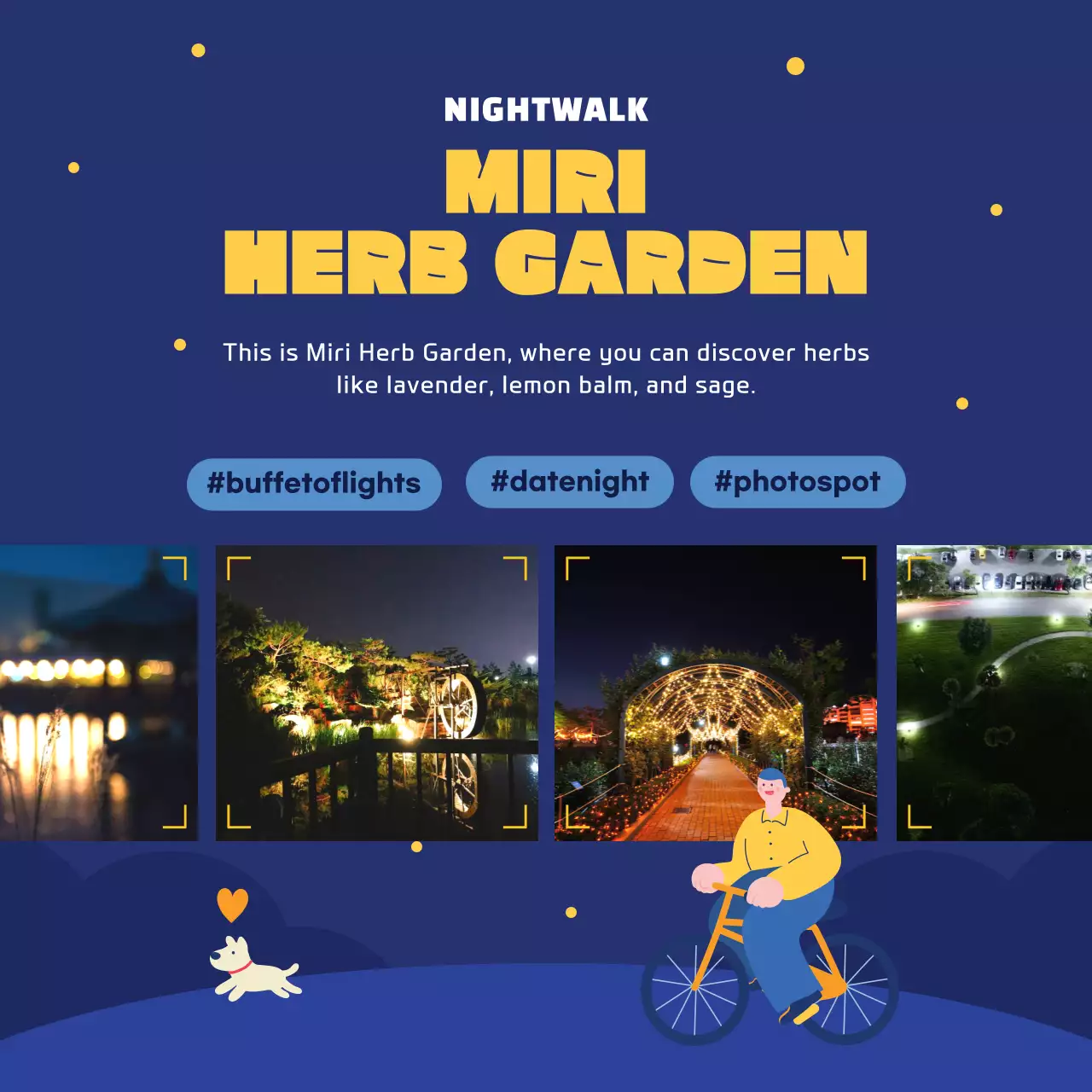 Introducing the Navy and Yellow Night Stroll attraction