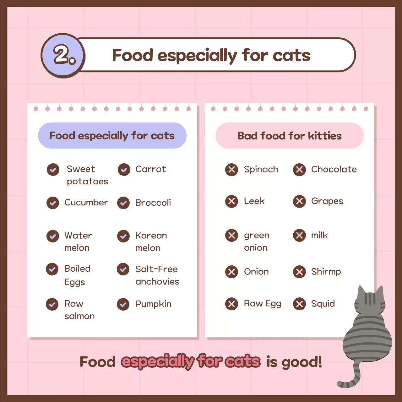 Pink Trendy Cat Guide Instagram Carousel