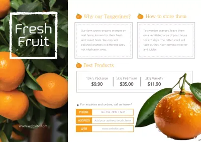 Orange Modern Fruit Promotion Poster