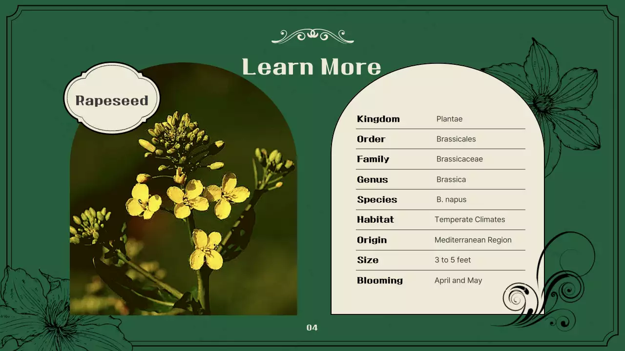 Introducing vintage spring flowers in green and beige