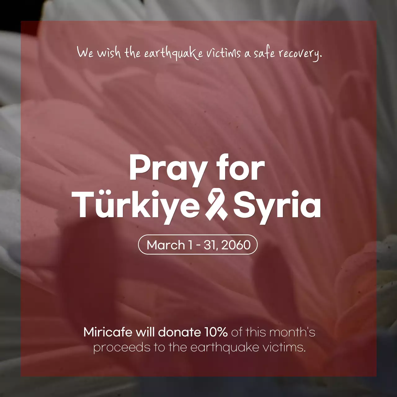 A tribute to the gray and red chrysanthemum photo