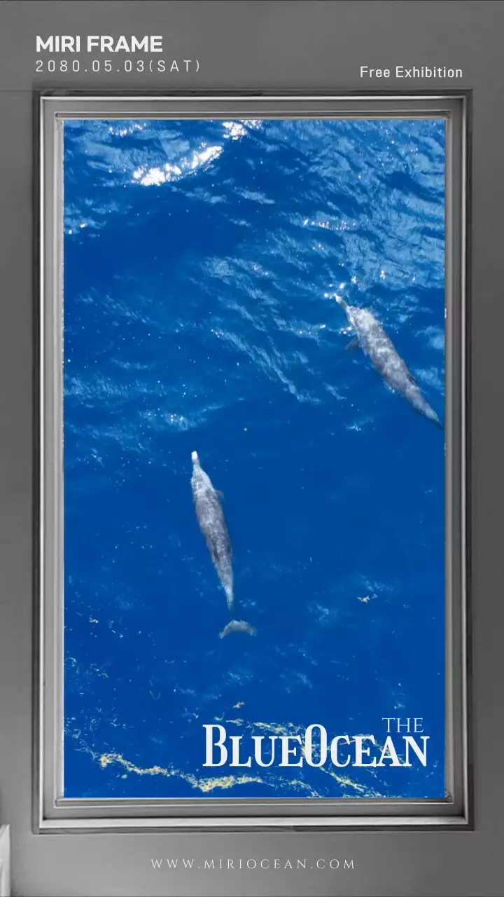 액자이 동영상이 있는 심플한 전시회 홍보