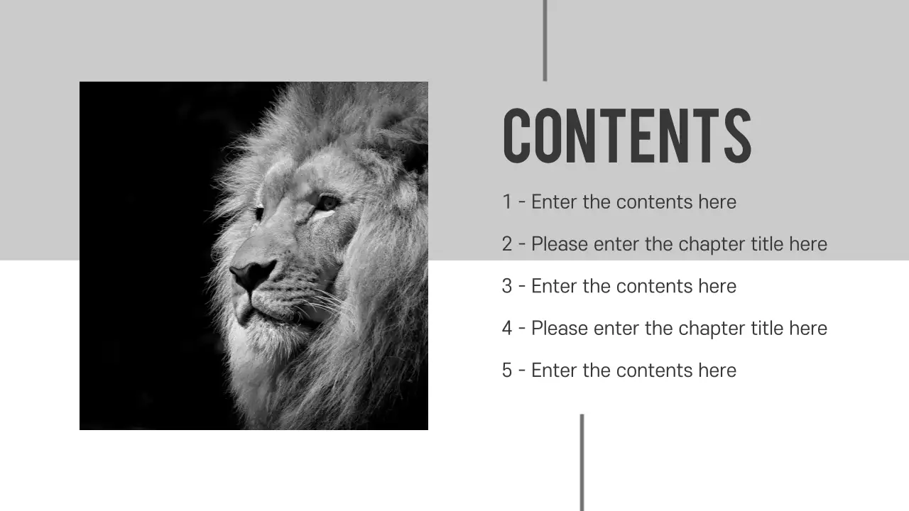 Grey Modern Project Announcement Presentation