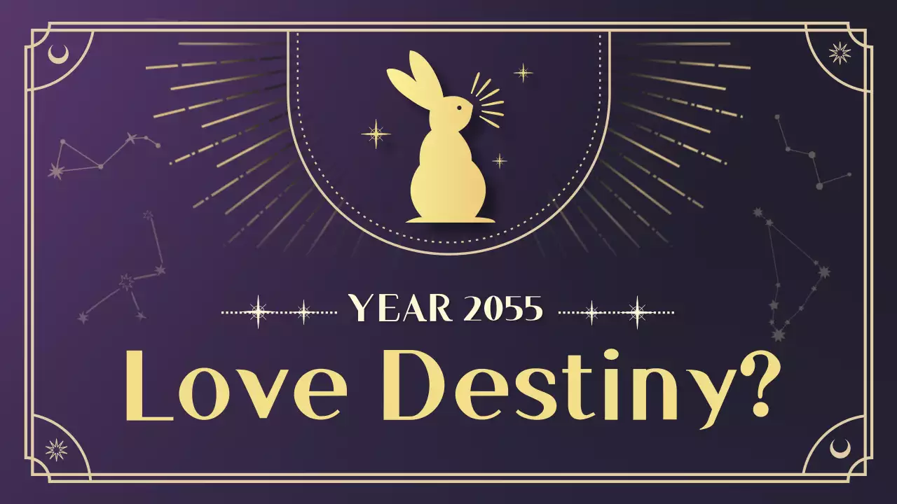 검정 배경과 토끼가 그려진 라인패턴의 타로 카드 연애운세