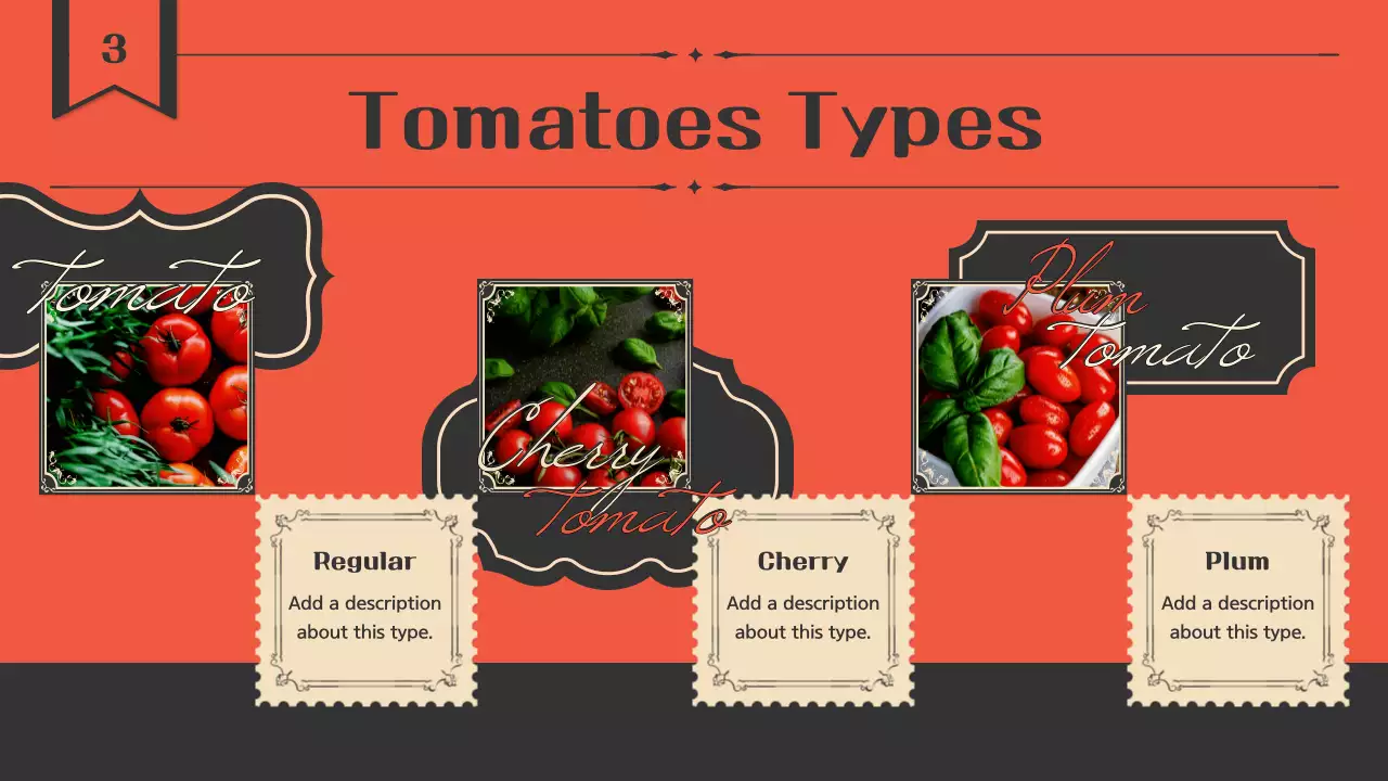 Red Vintage Tomato Guide Presentation